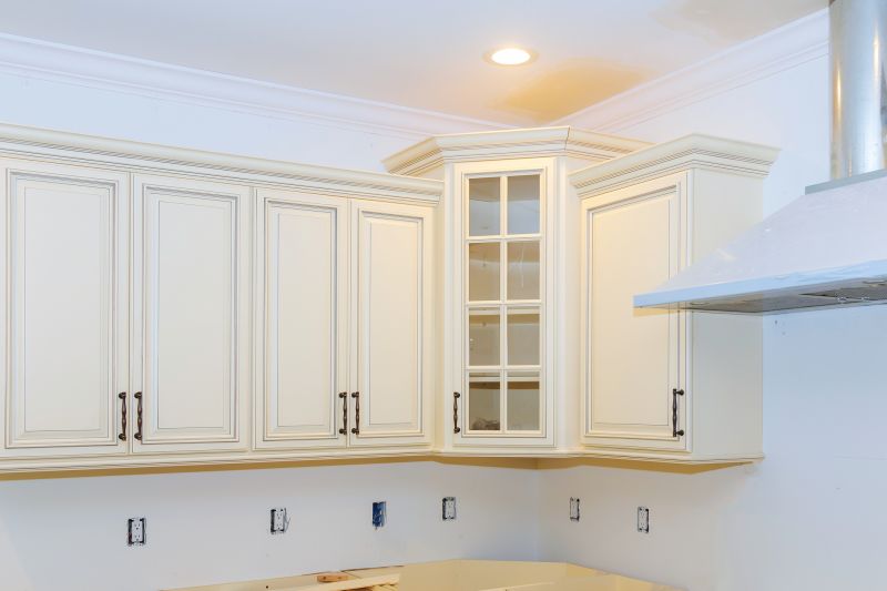 Kitchen Cabinet Repair detail